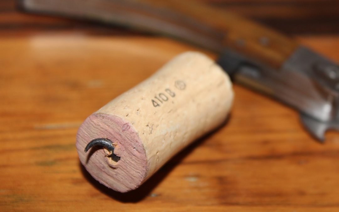 Wine notes with Alicia Lee: Steele winery