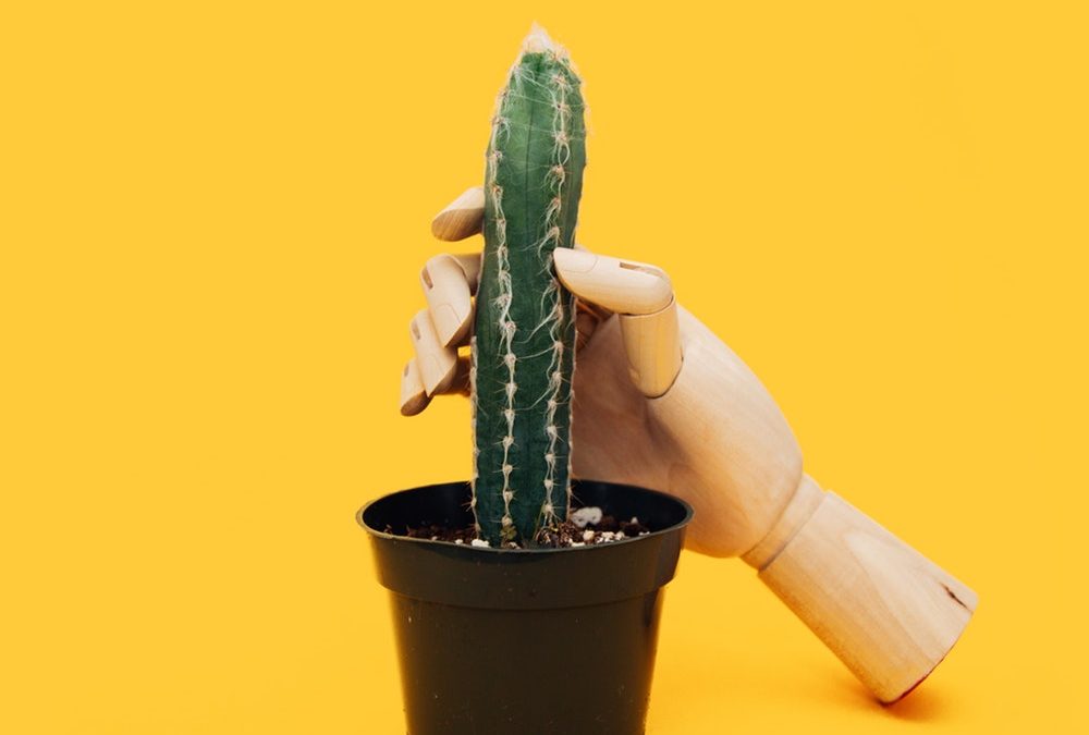 The future of love (NSFW)